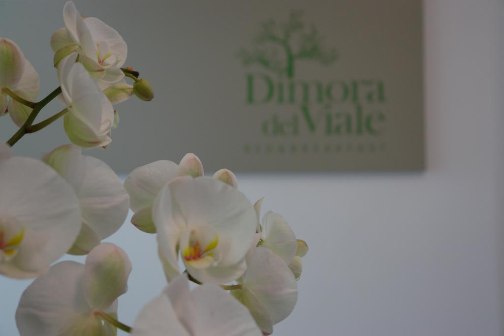 Dimora Del Viale Bed & Breakfast Agrigento Ngoại thất bức ảnh